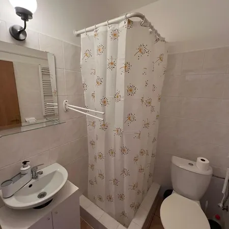 Apartmany U Svycarskeho Dvora Janske Lazne Exterior photo