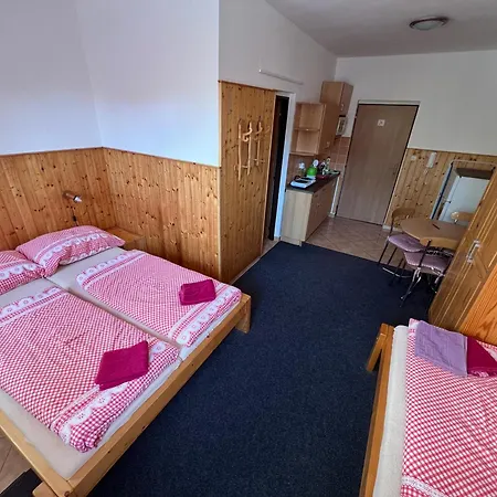 Apartmany U Svycarskeho Dvora Janske Lazne Exterior photo